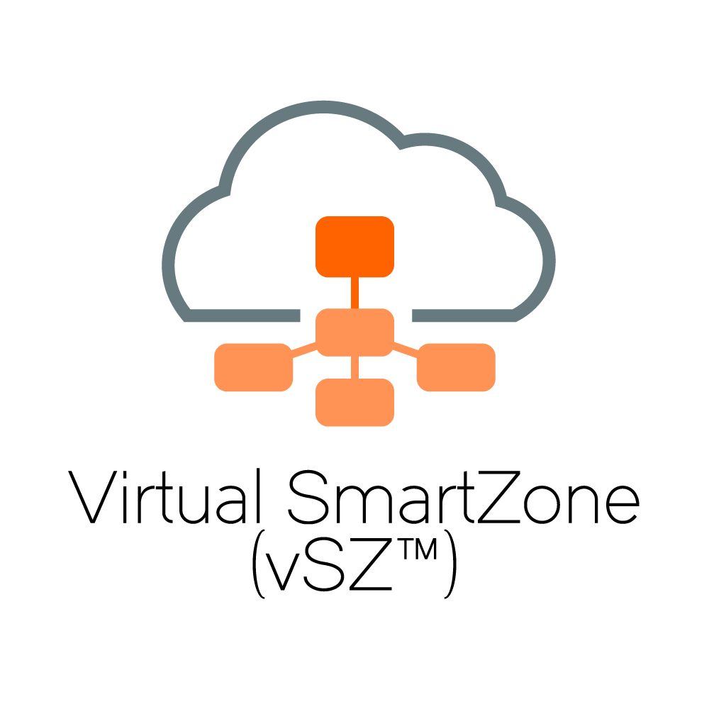 Virtual SmartZone (vSZ)