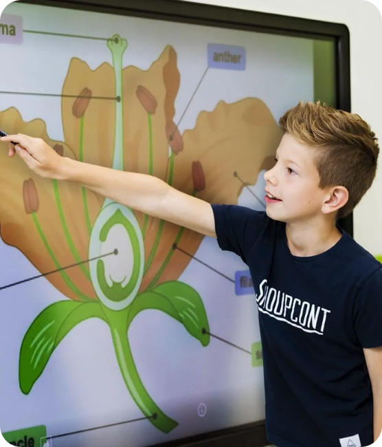 i3CONNECT Screens: Empowering Modern Classrooms