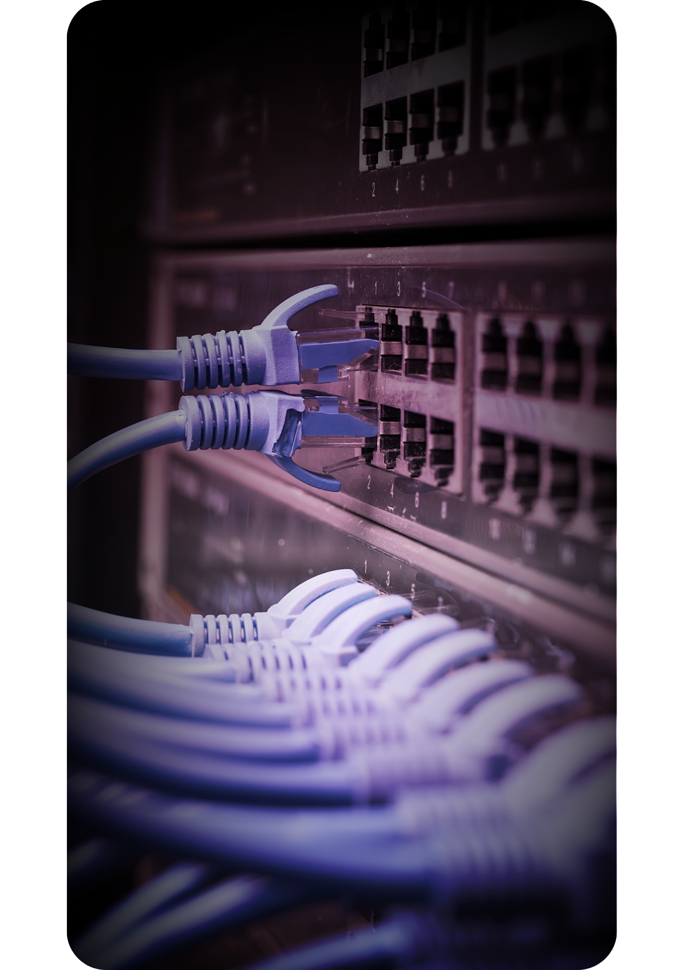 Ethernet-Cables-on-a-Network-Switch